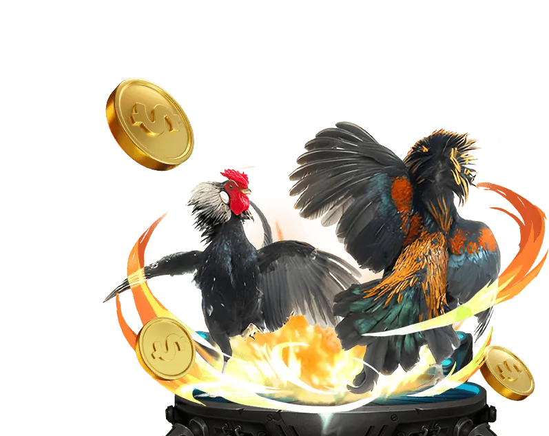 Hướng dẫn cá cược đá gà Alo789